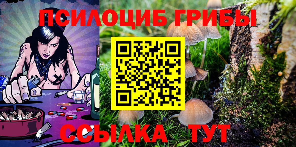 Карачаевск  Галлюциногенные грибы Magic Shrooms  Вход с VPN 