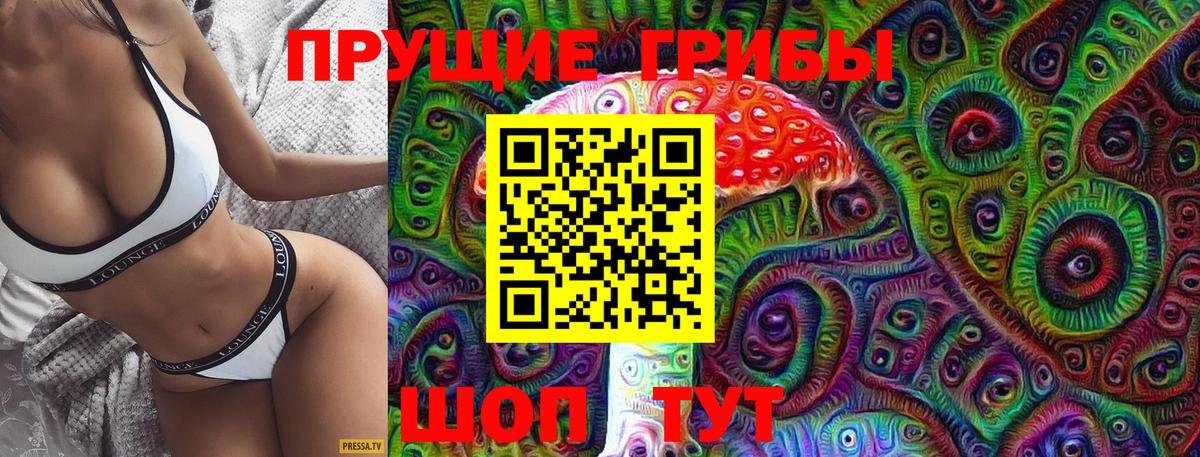 Псилоцибиновые грибы прущие грибы Карачаевск