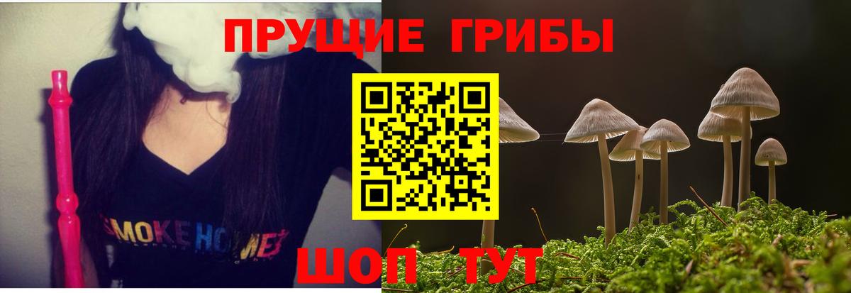 Псилоцибиновые грибы Magic Shrooms  Карачаевск 