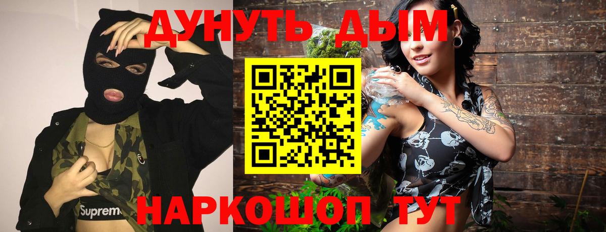 Бошки Шишки планчик Карачаевск